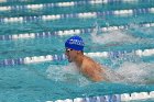 Swimming & Diving vs Babson  Swimming & Diving vs Babson College. - Photo by Keith Nordstrom : Wheaton, Swimming